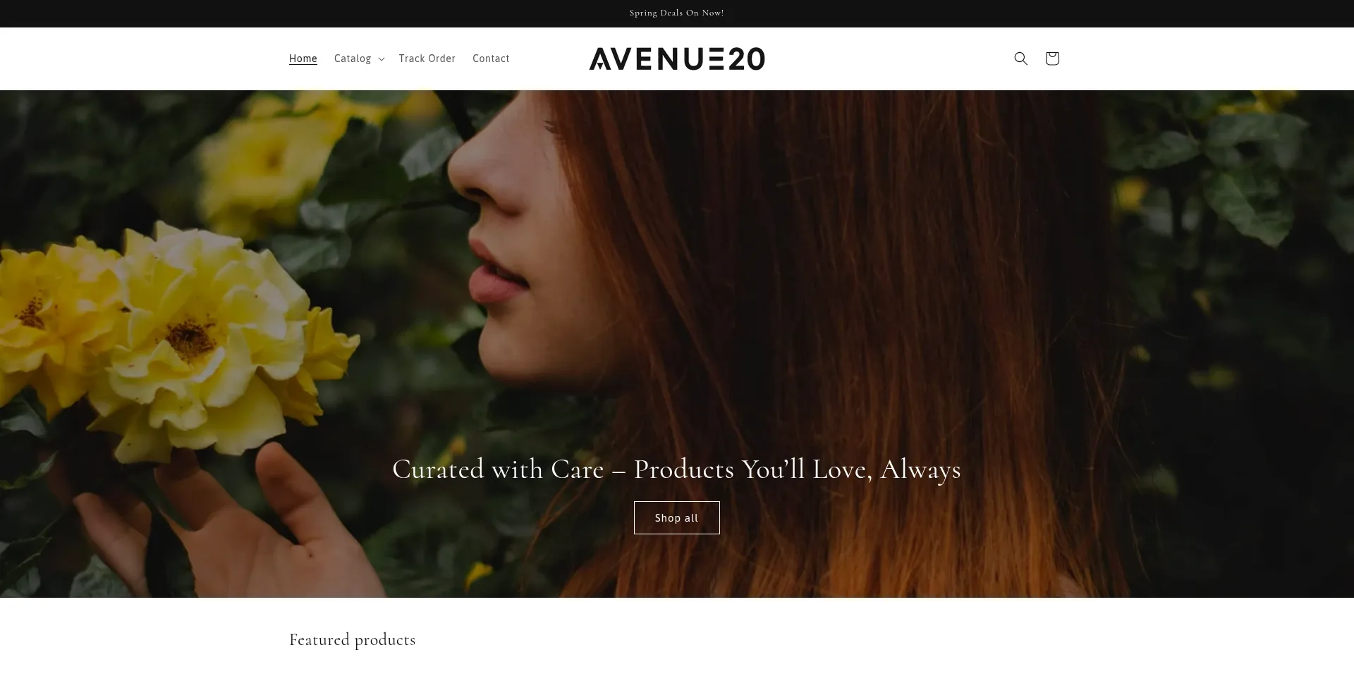 Website screenshot of Avenue20.com