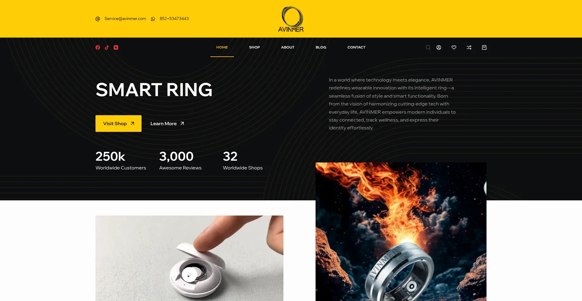 Website screenshot of Avinmer.com