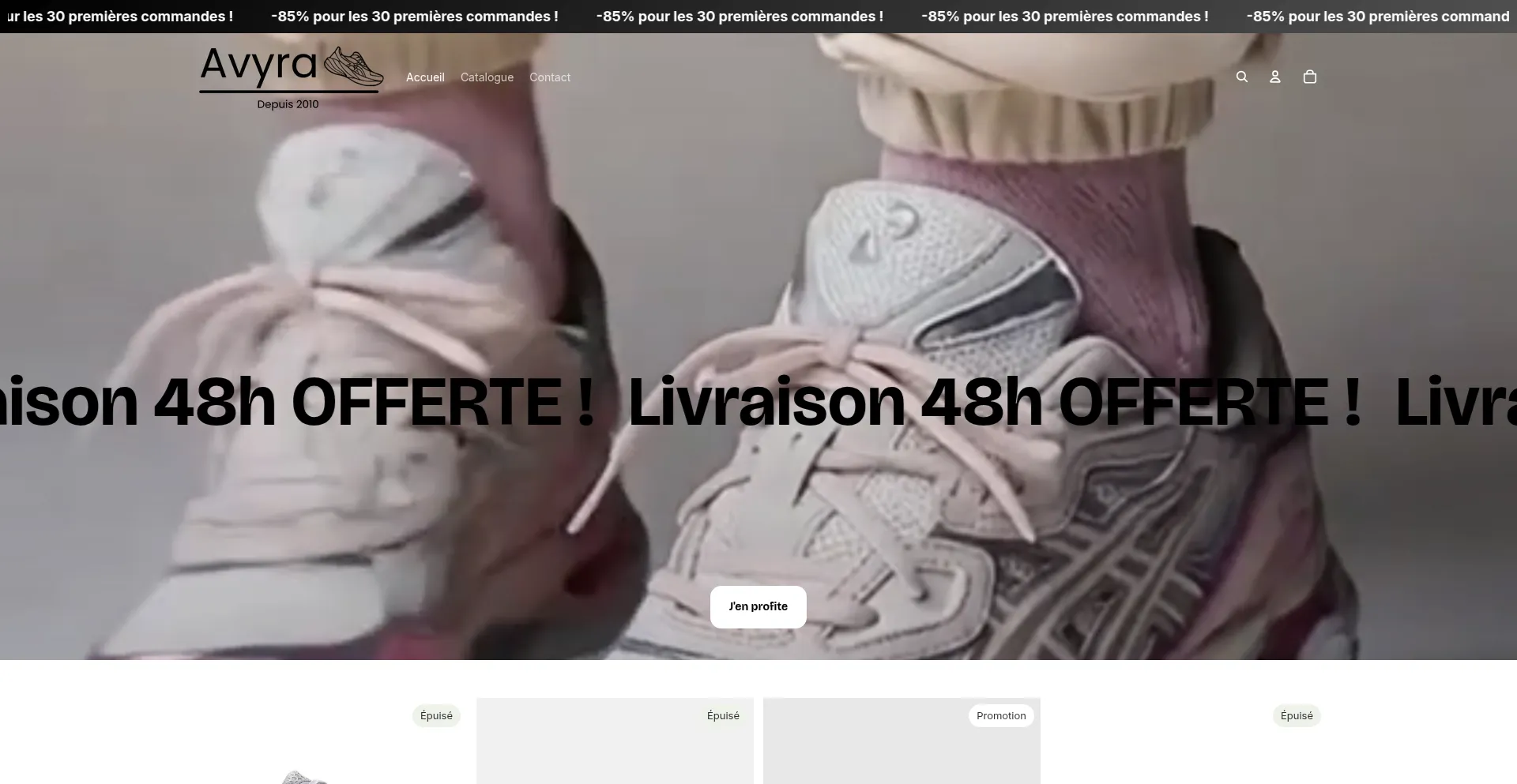 Website screenshot of Avyra.fr