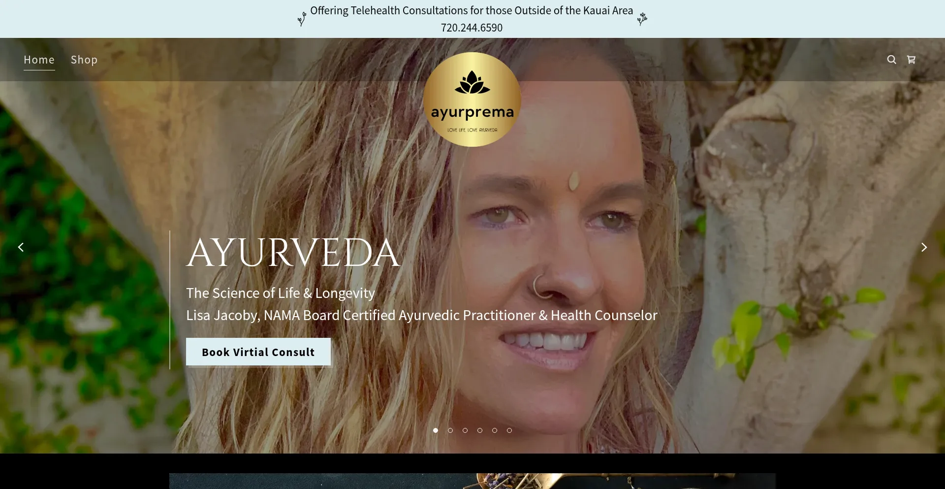 Website screenshot of Ayurprema.com
