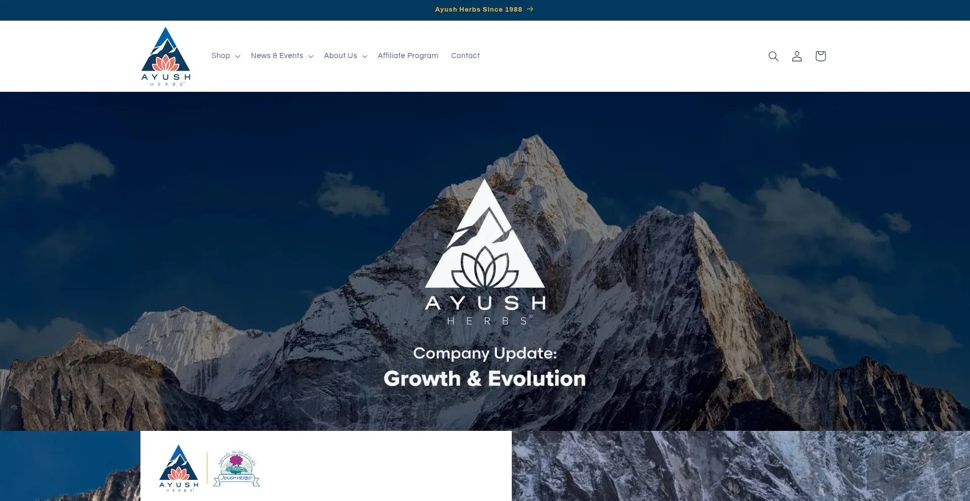 Website screenshot of Ayush.com