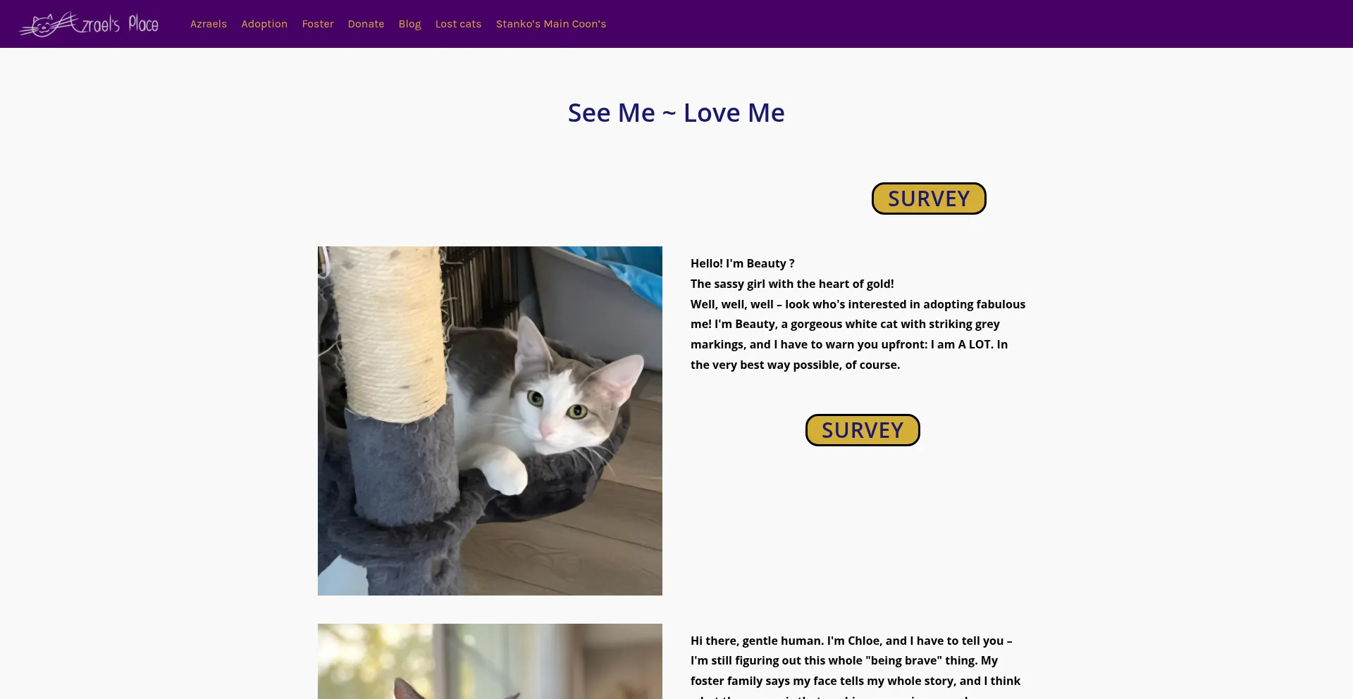 Azraelsplace.com