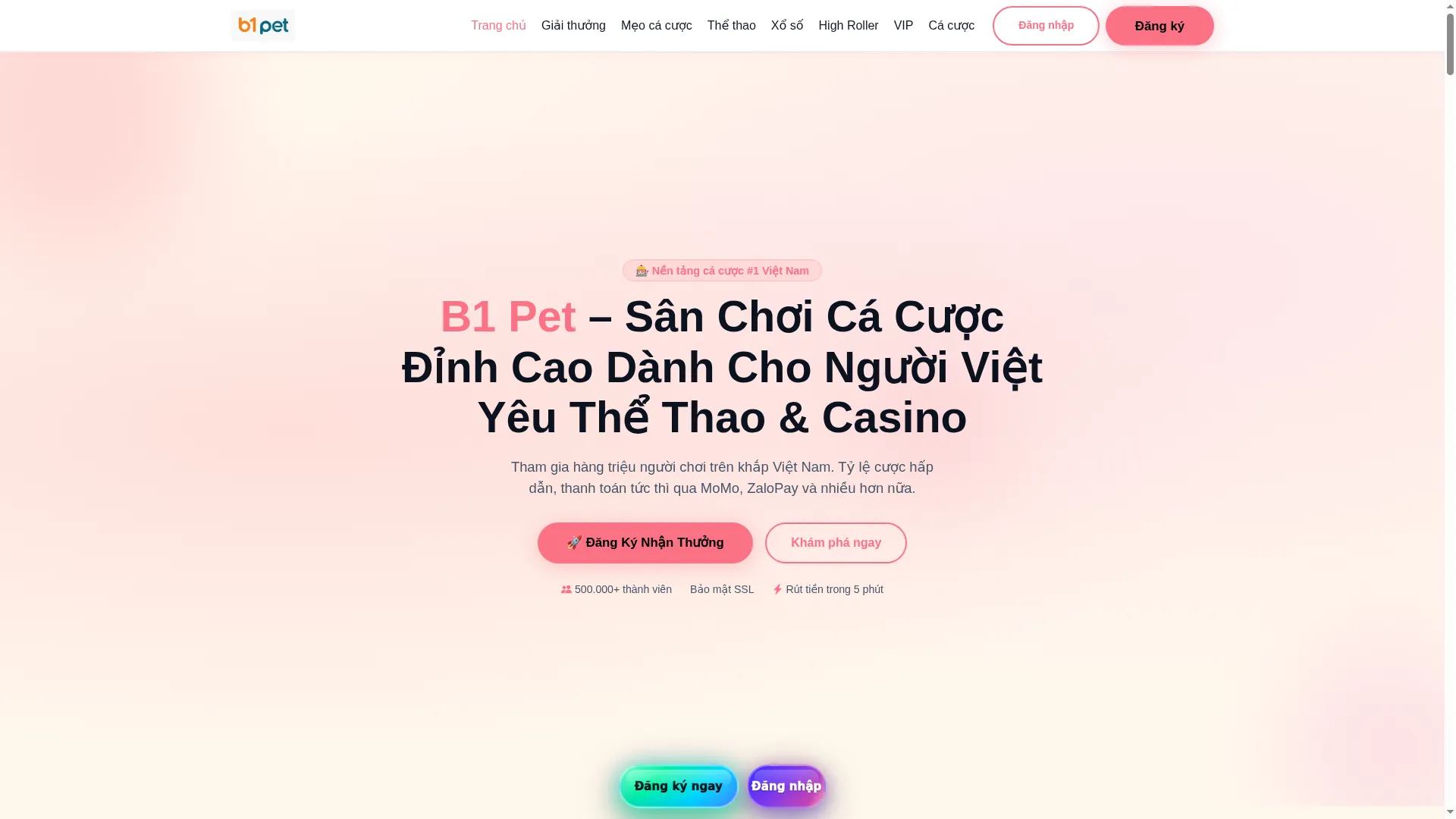 B1pet.com