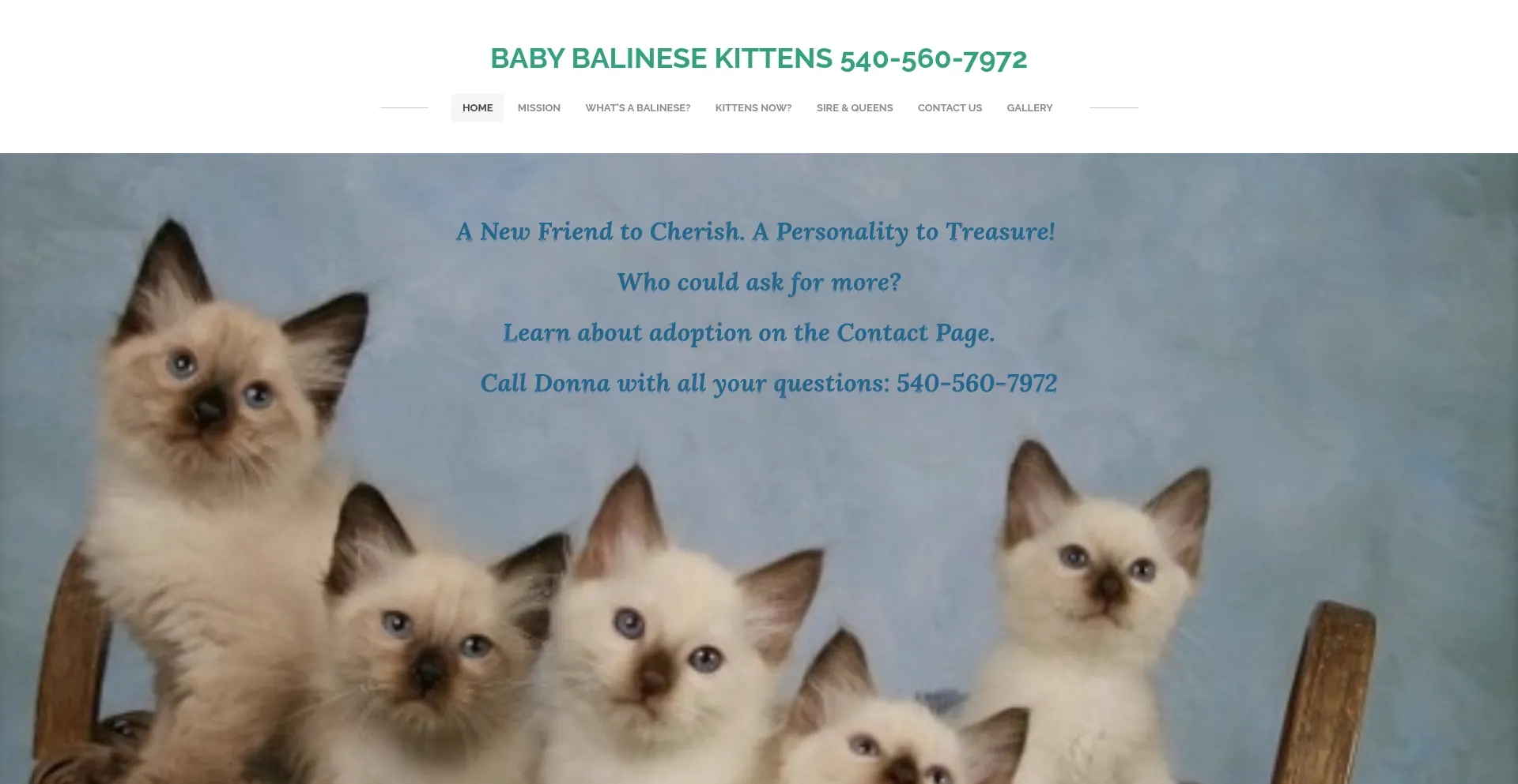 Babybalinesekittens.com