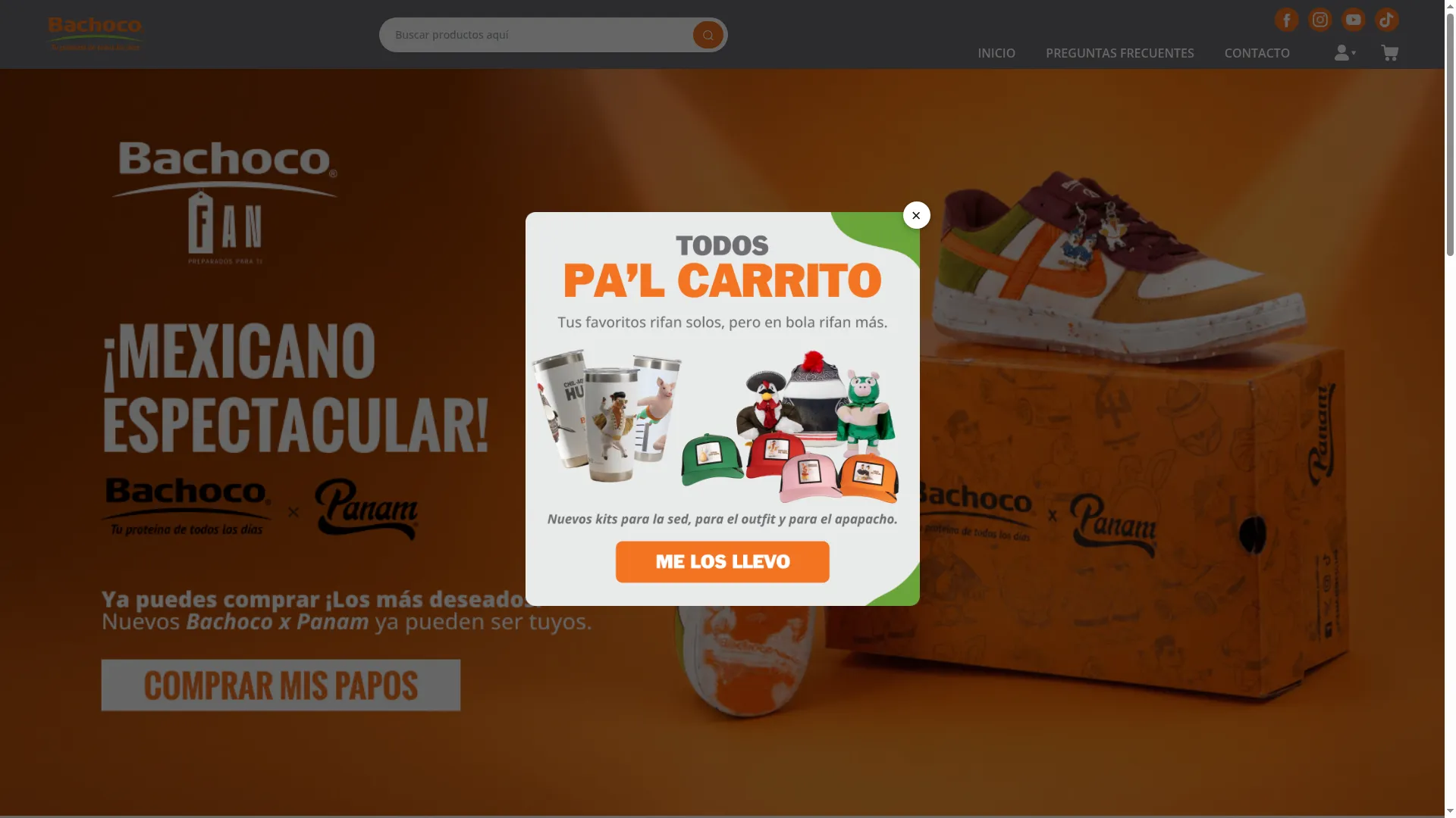 Bachocofan.com
