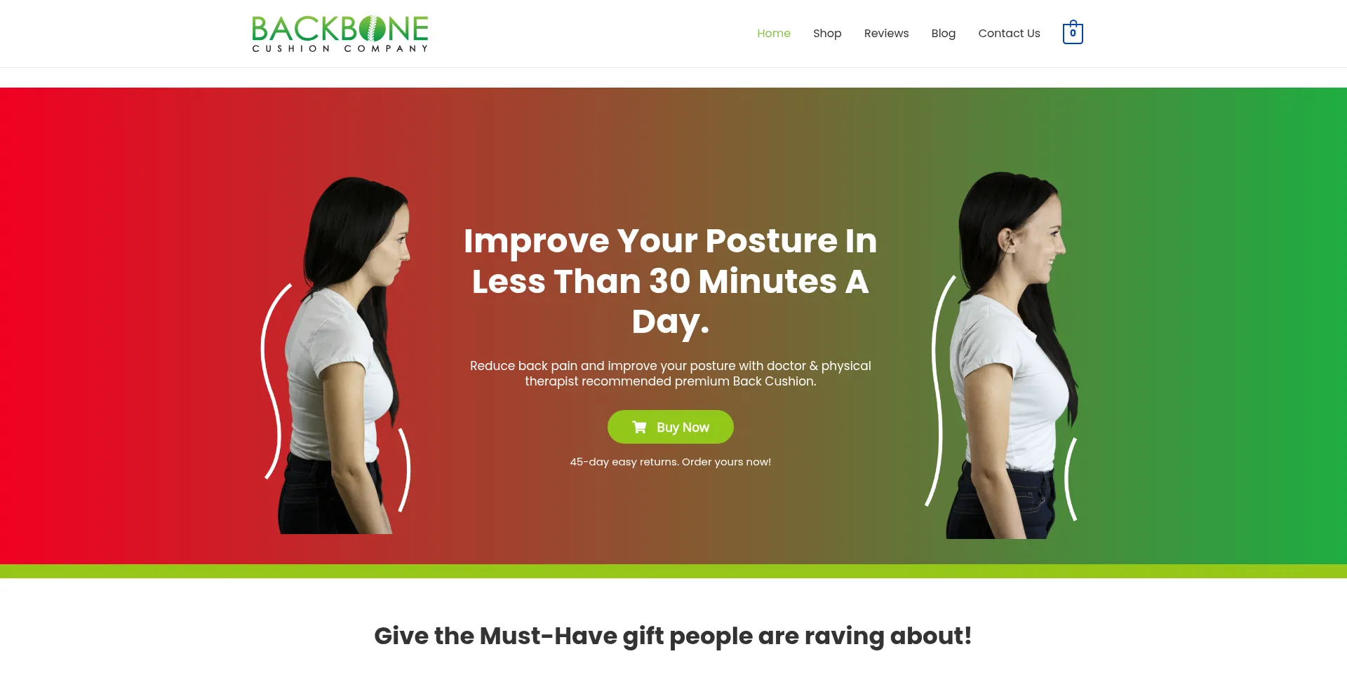Backbonecushion.com