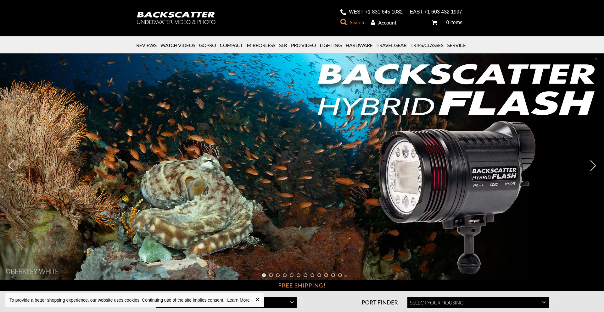 Website screenshot of Backscatter.com