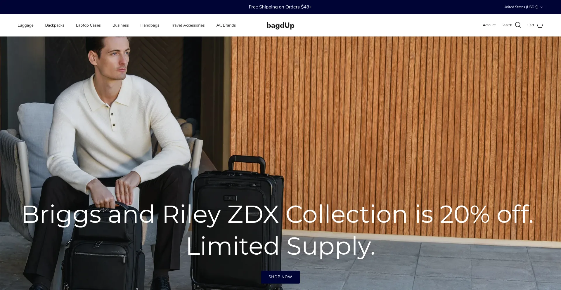 Website screenshot of Bagdup.com