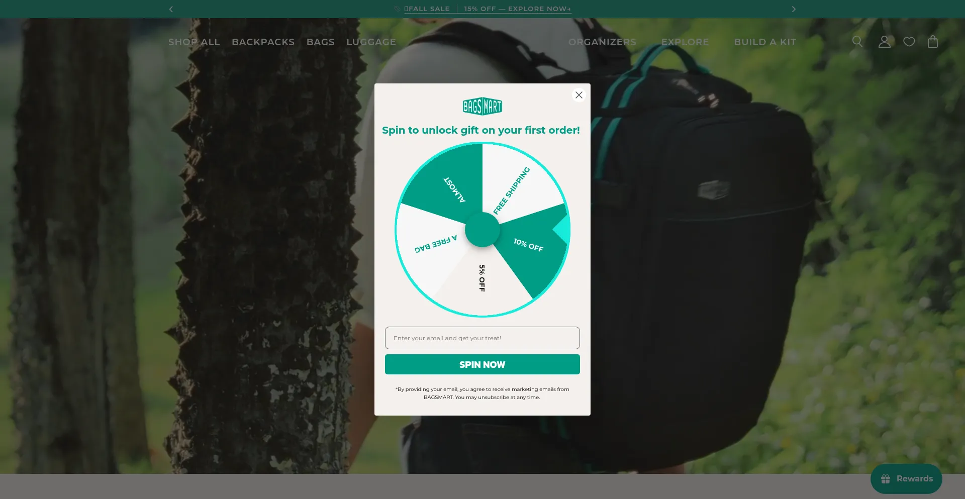 Bagsmart.com