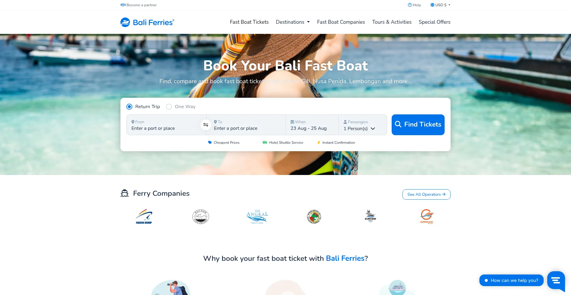 Website screenshot of Baliferries.com