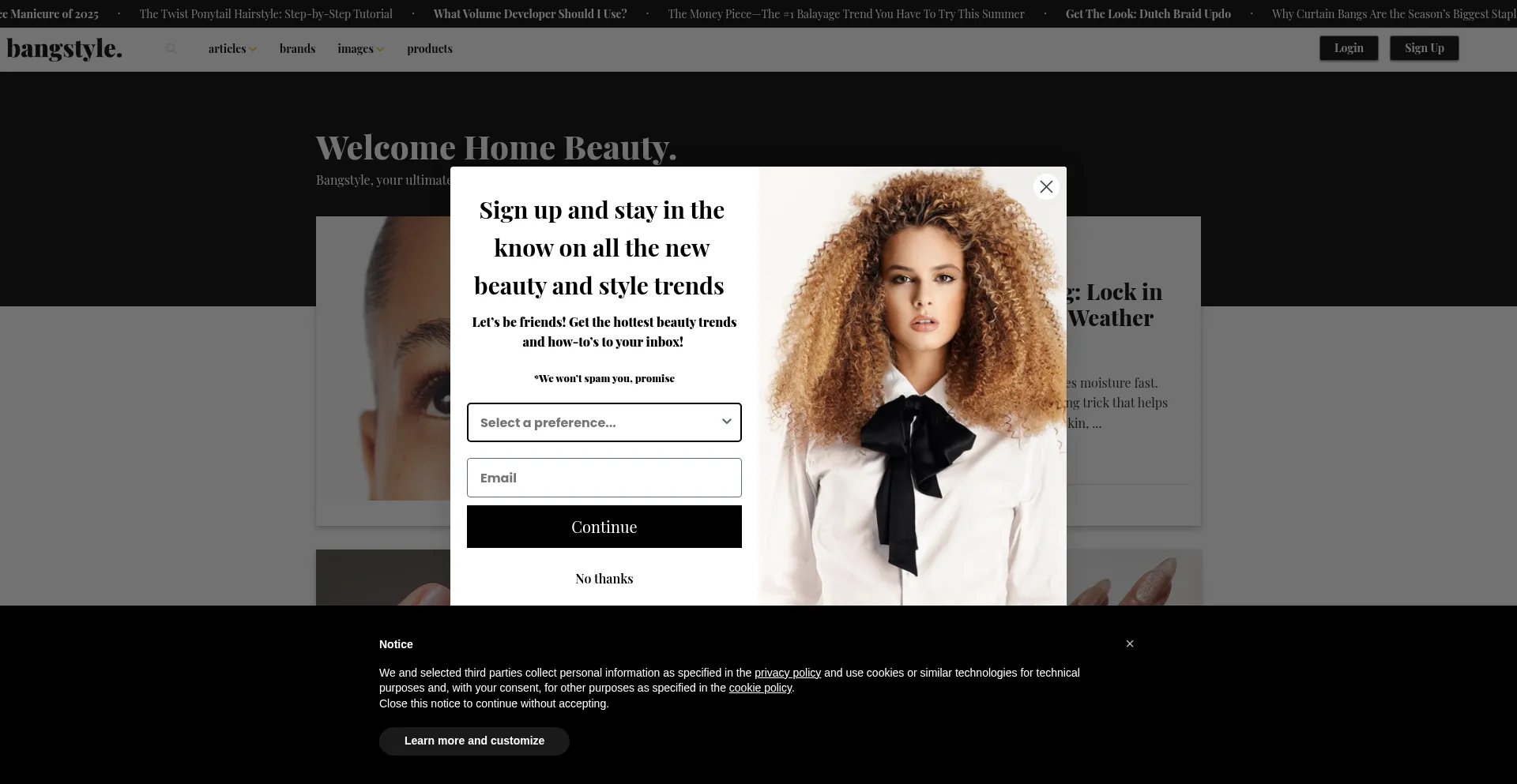 Website screenshot of Bangstyle.com