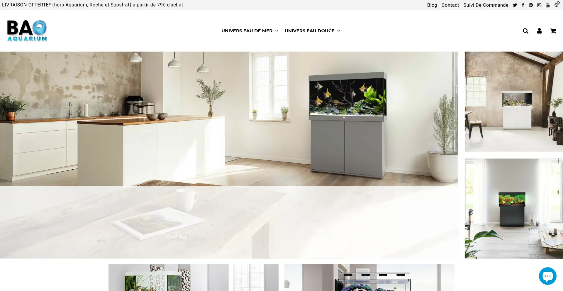 Website screenshot of Bao-aquarium.com