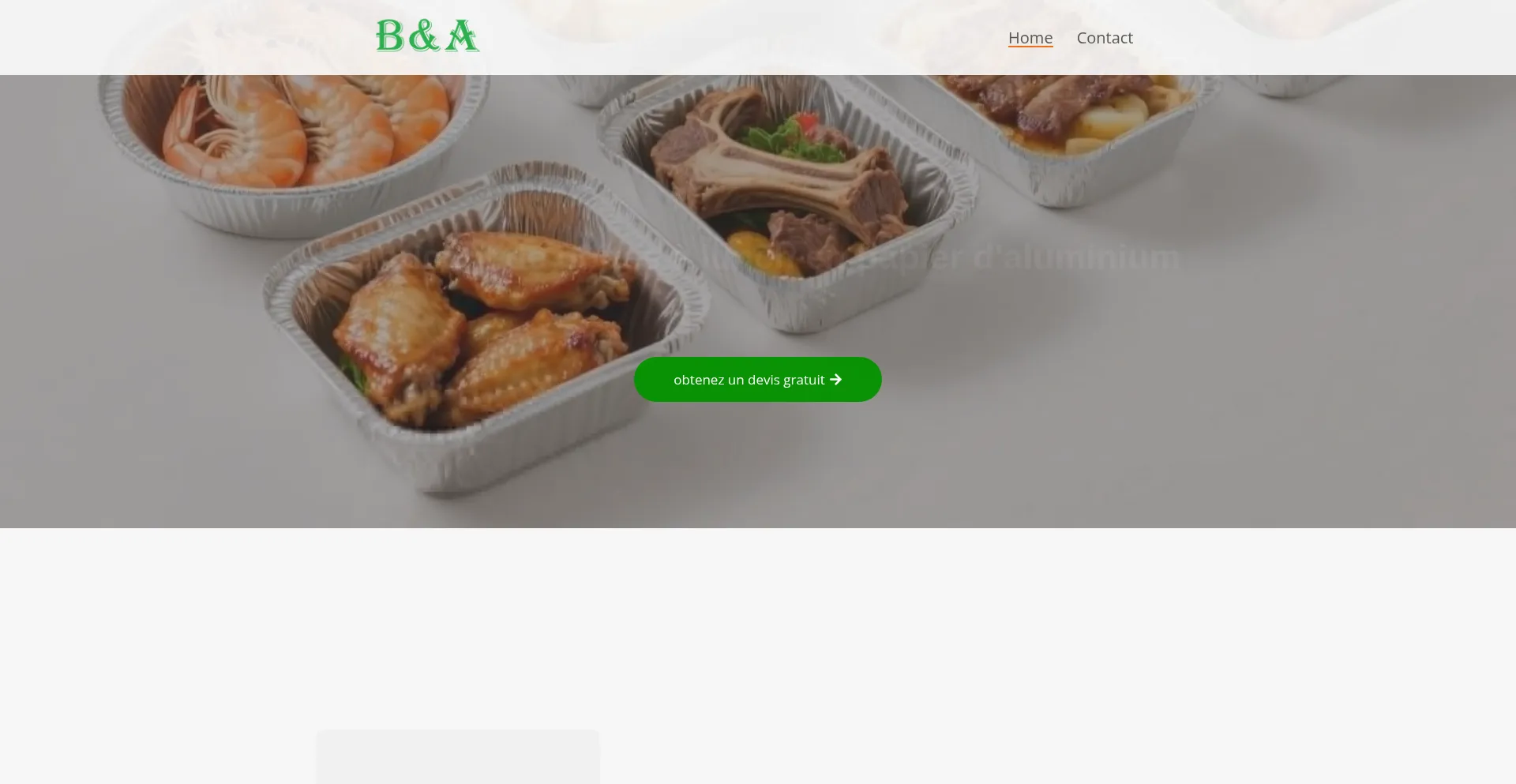 Website screenshot of Barquettealuminium.com