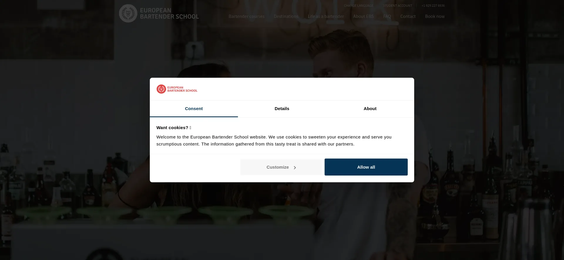 Website screenshot of Barschool.net