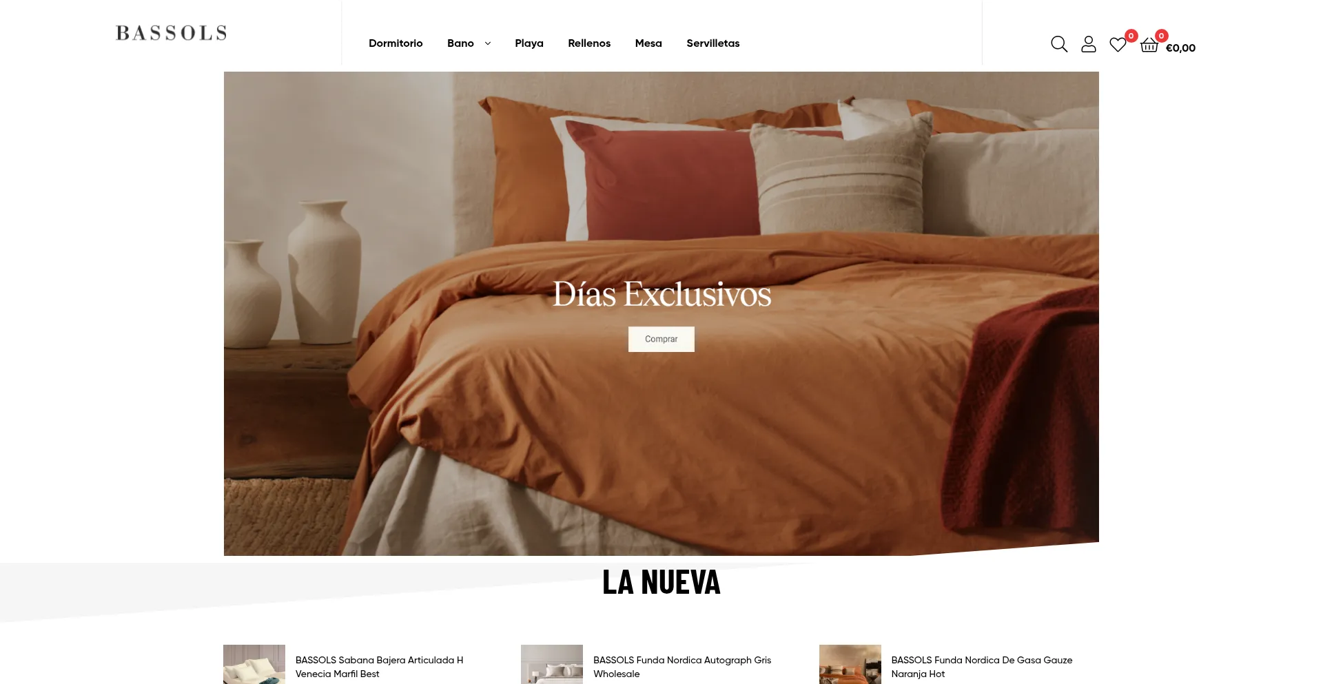 Website screenshot of Bassolsi.com