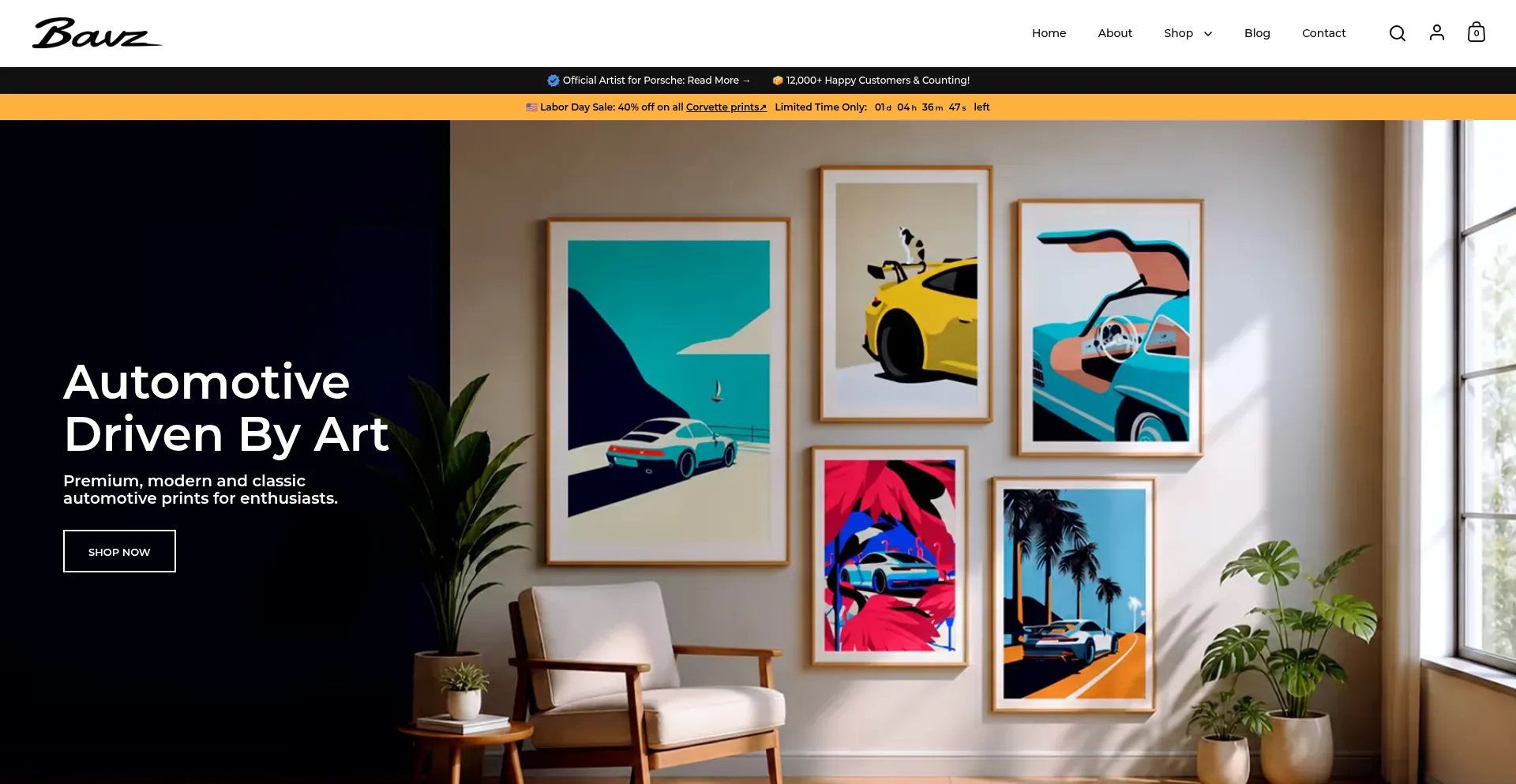Bavzart.com