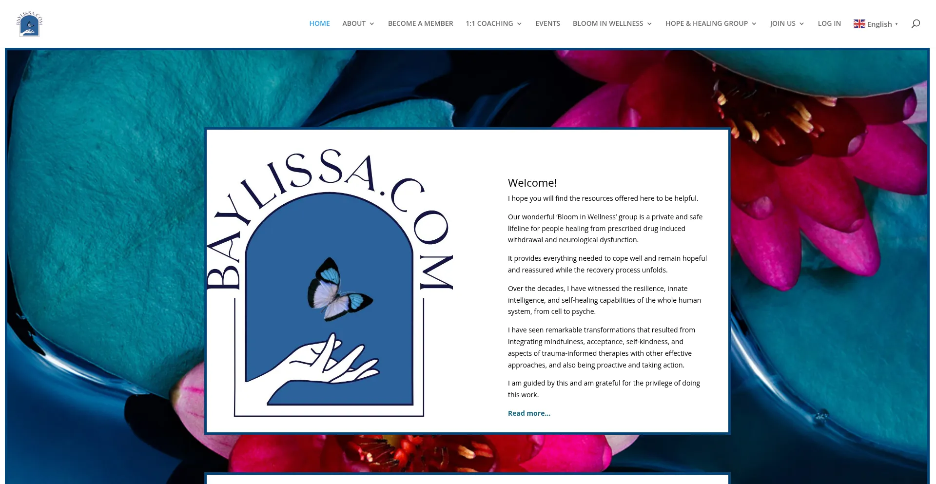 Baylissa.com