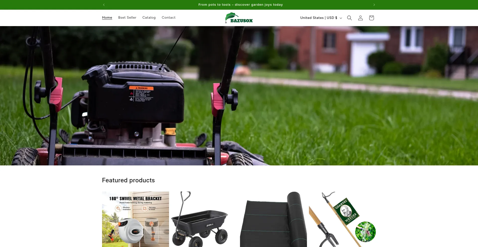 Website screenshot of Bazusox.shop