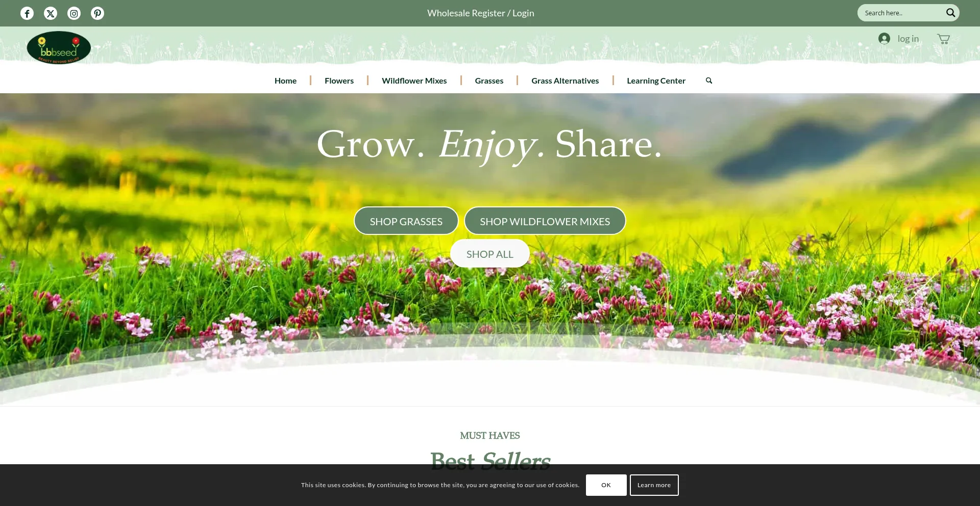 Website screenshot of Bbbseed.com