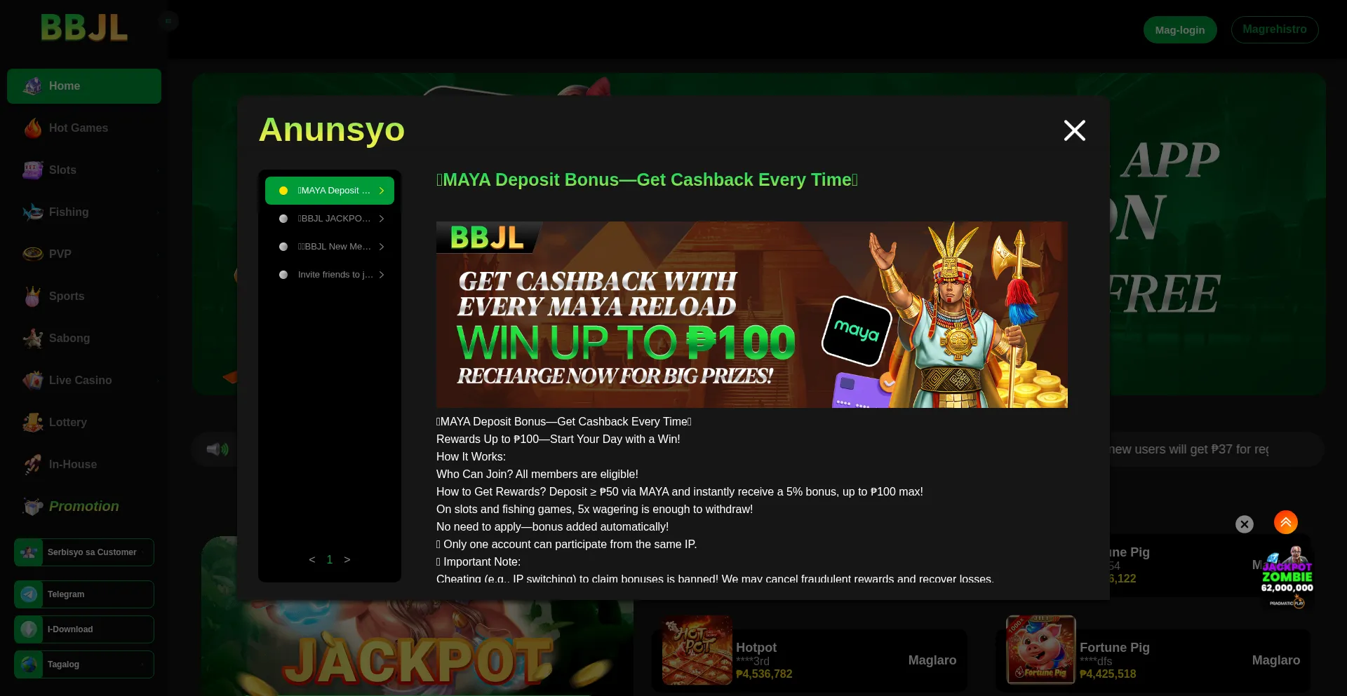 Website screenshot of Bbjl55.com