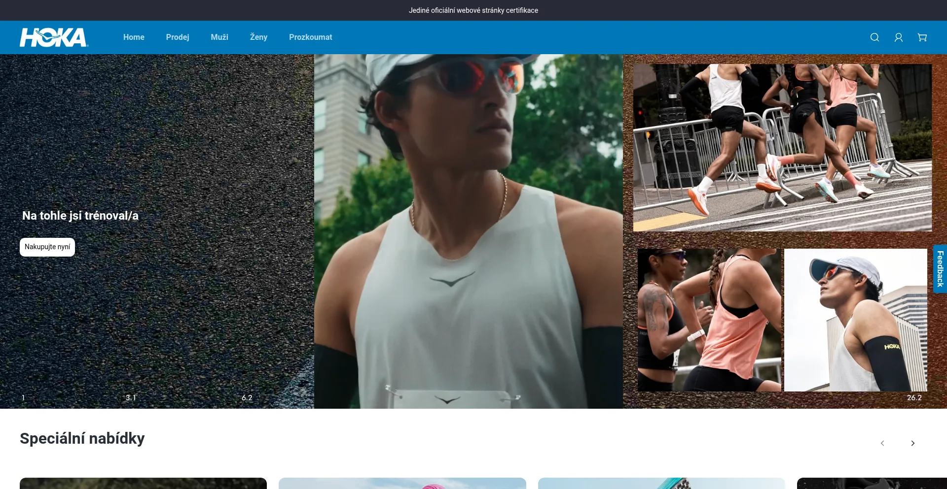 Website screenshot of Bdric34.world
