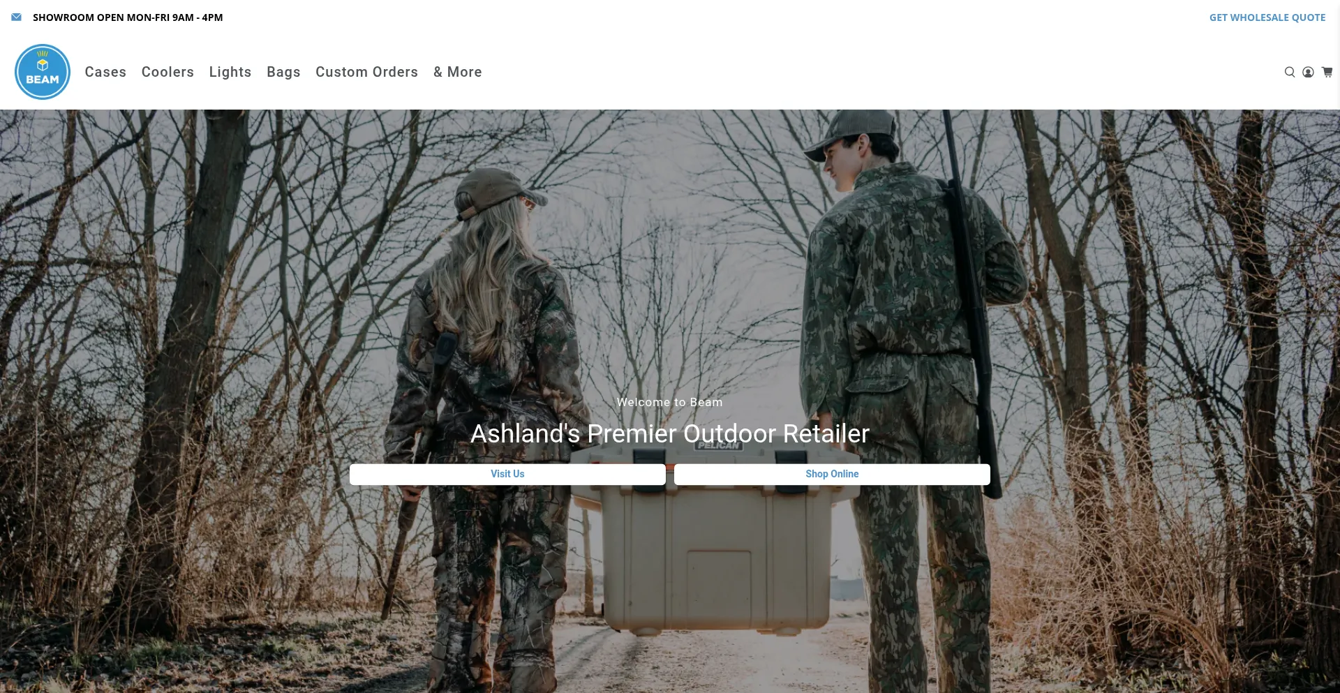 Website screenshot of Beam.is