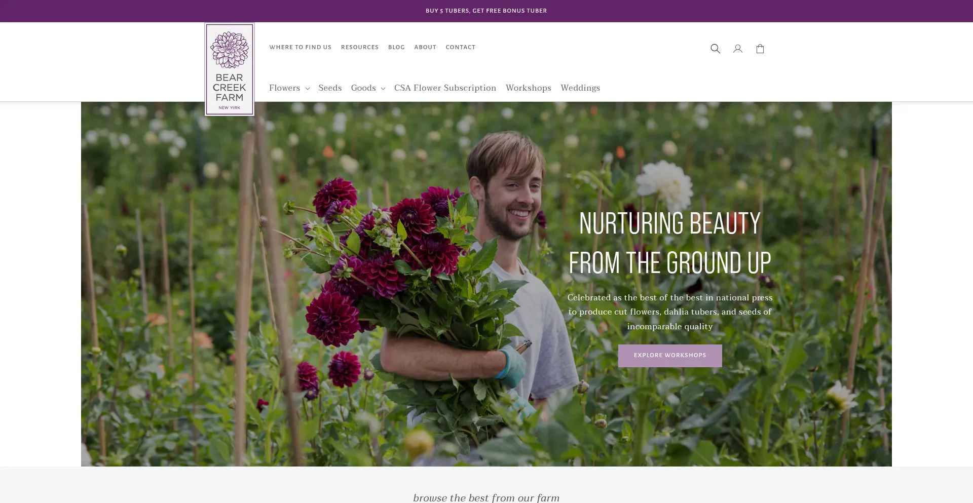 Website screenshot of Bearcreekfarm.com