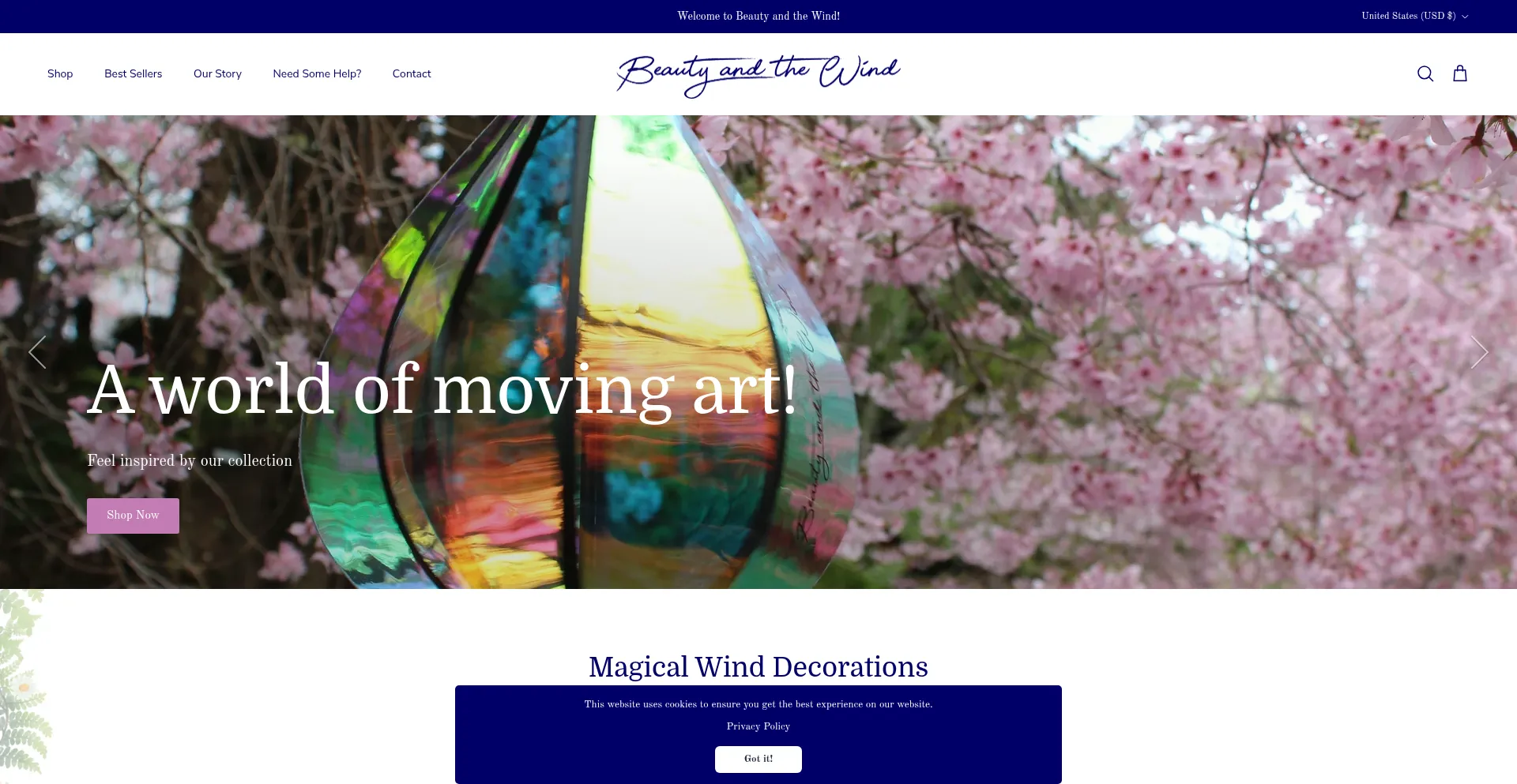 Beautyandthewind.com