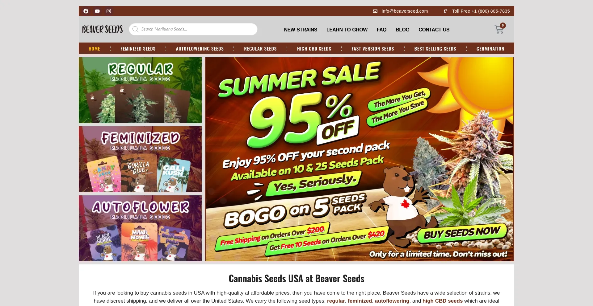Website screenshot of Beaverseed.com