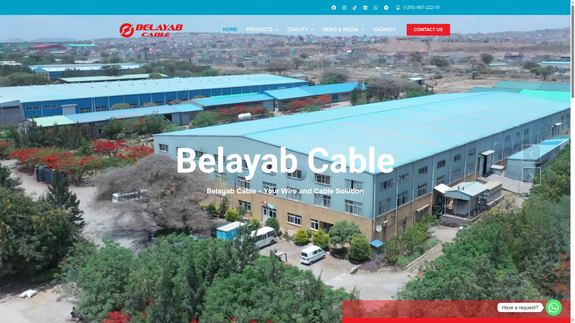 Belayabcableplc.com