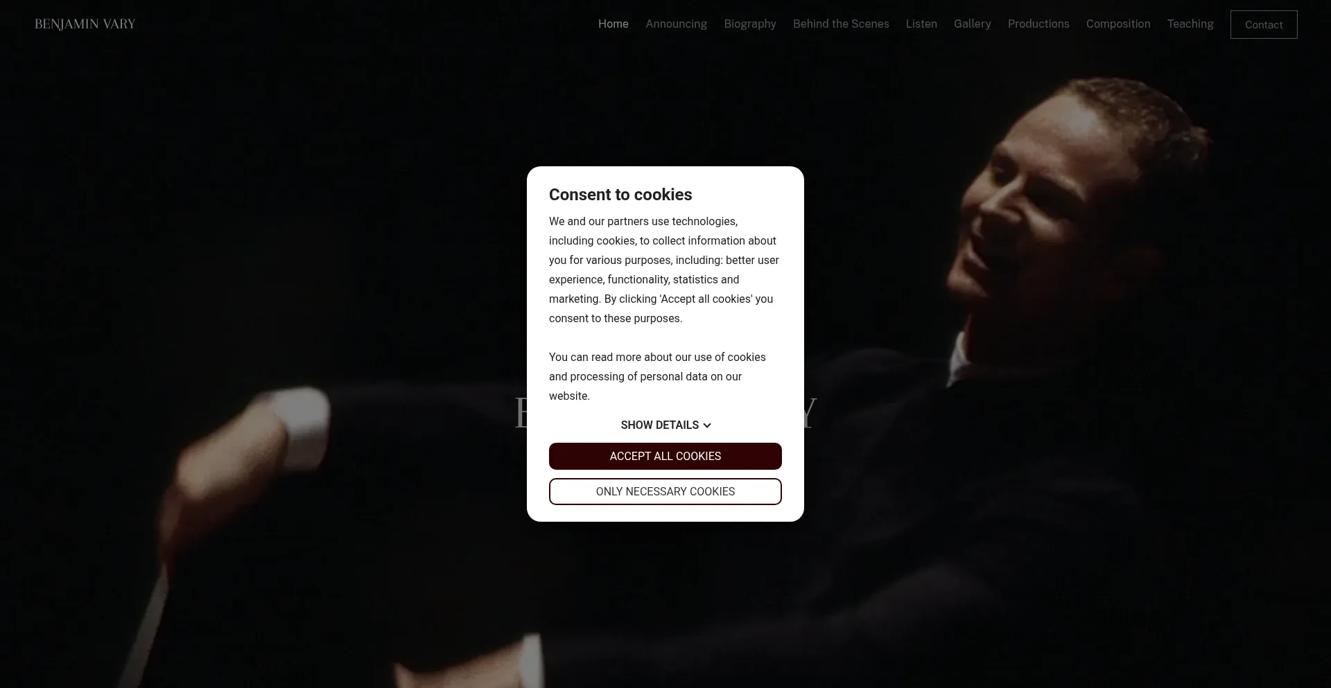 Website screenshot of Benjaminvary.com