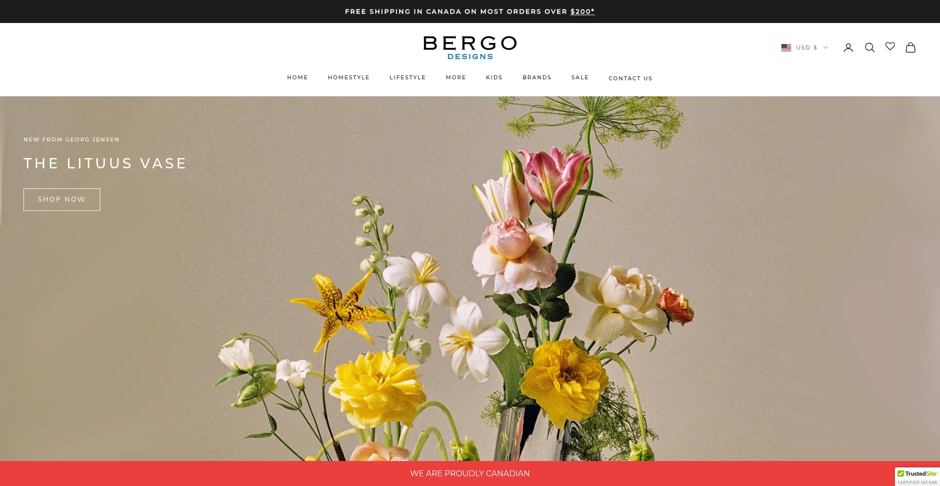 Website screenshot of Bergodesigns.ca