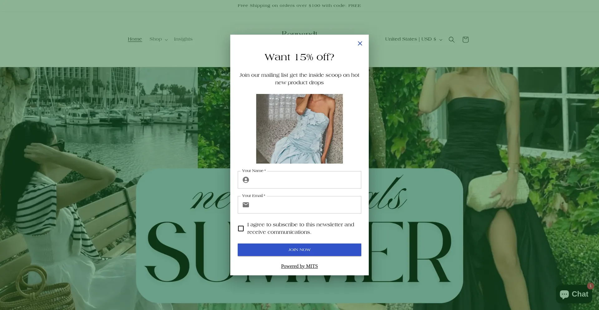 Website screenshot of Bernardicollective.com