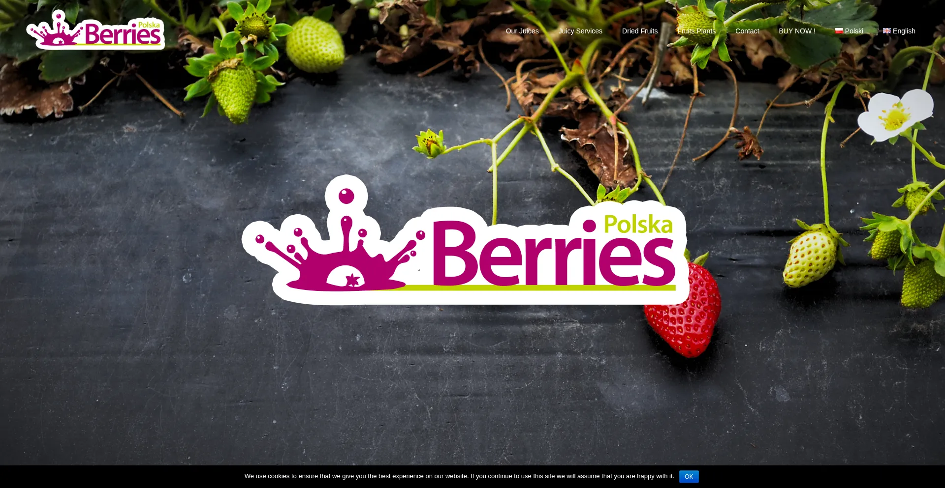 Berriespolska.com