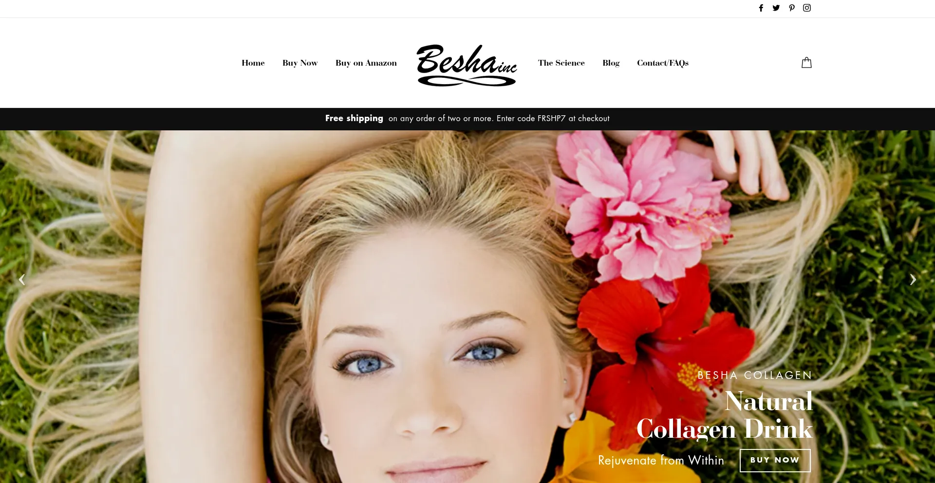 Website screenshot of Beshainc.com