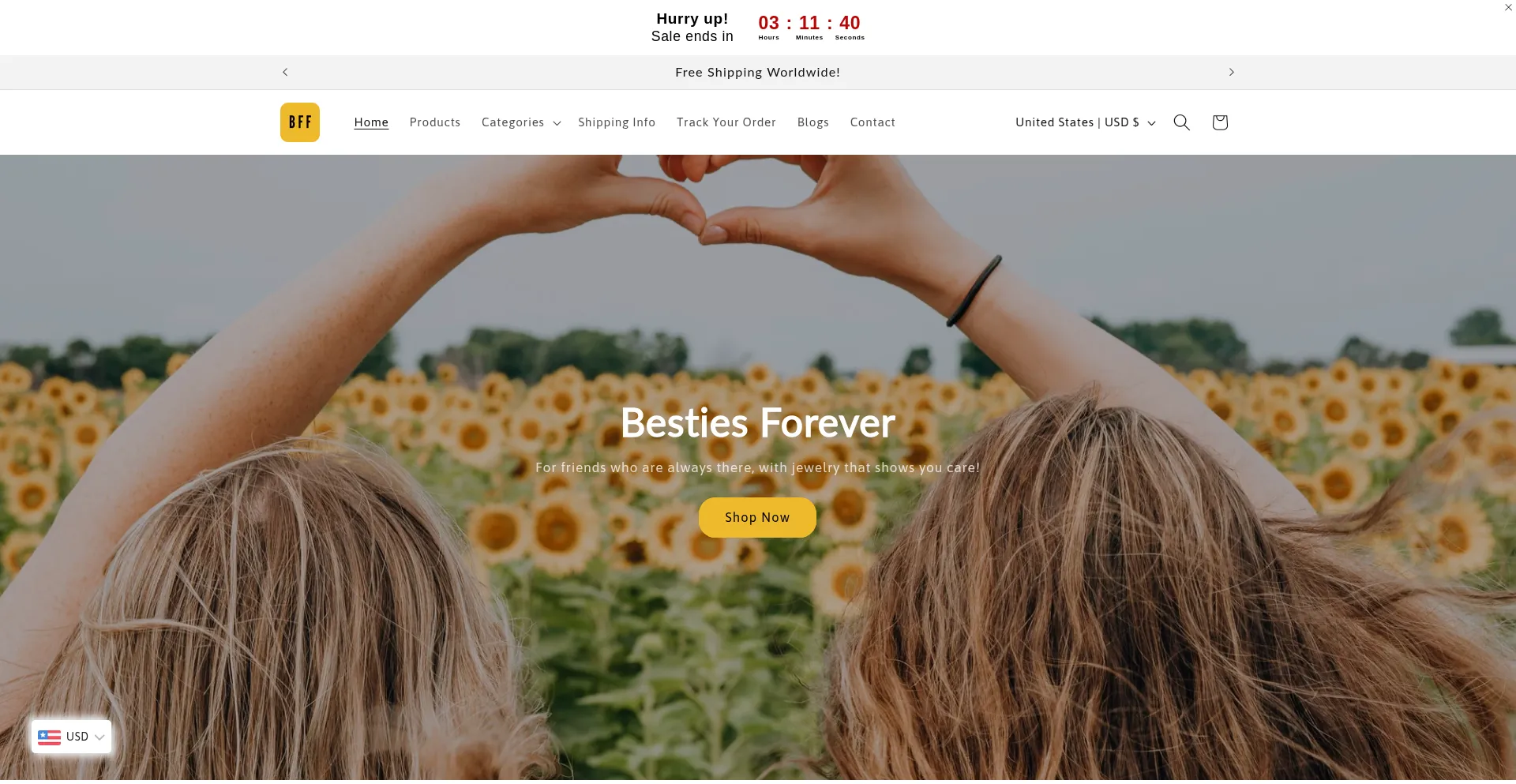 Website screenshot of Bestiesforeverco.com