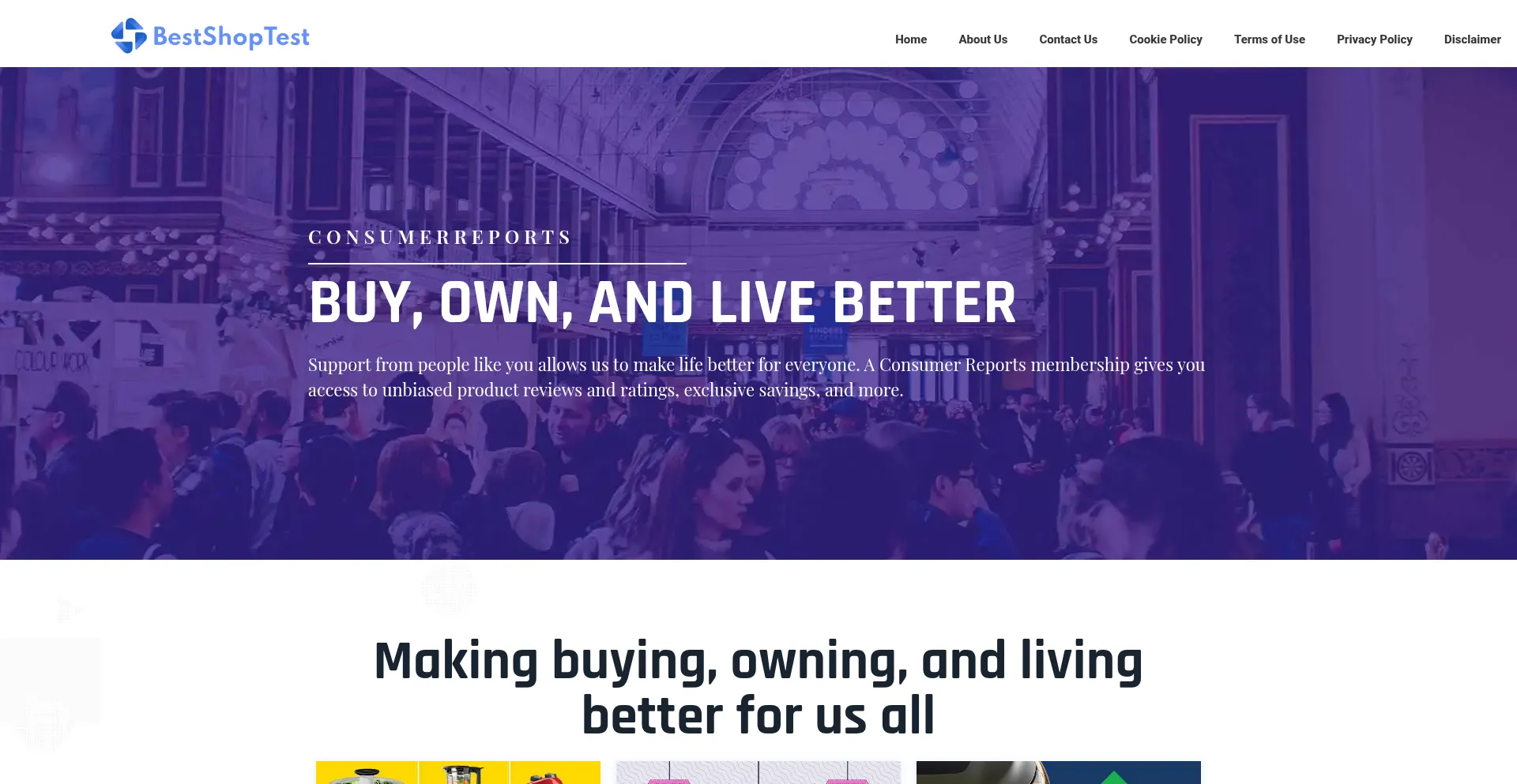 Website screenshot of Bestshoptest.com