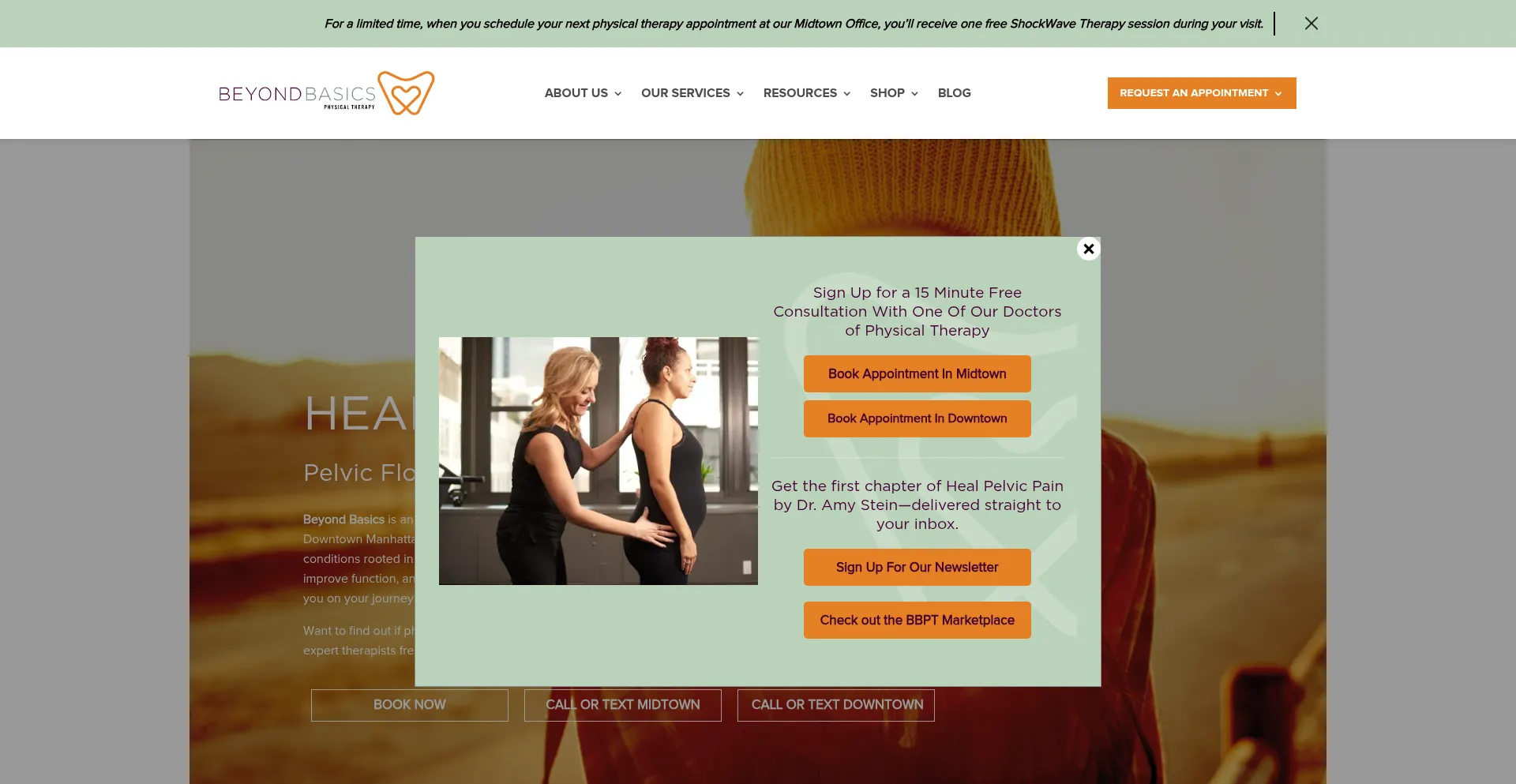 Beyondbasicsphysicaltherapy.com