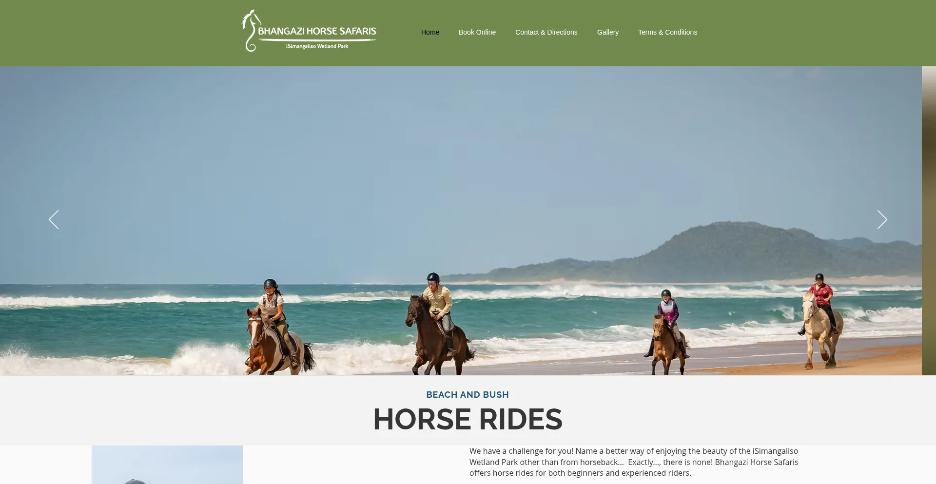 Website screenshot of Bhangazihorsesafaris.com