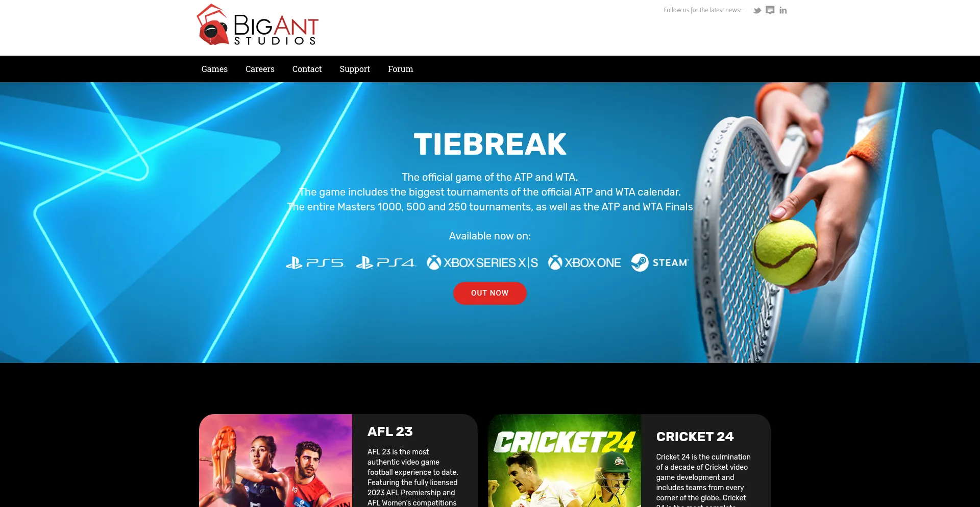 Bigant.com