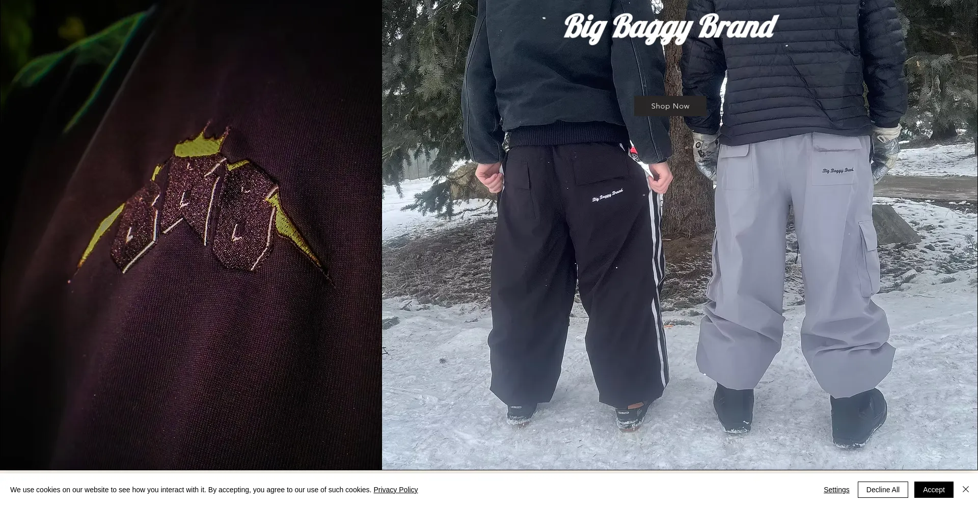 Website screenshot of Bigbaggybrand.com