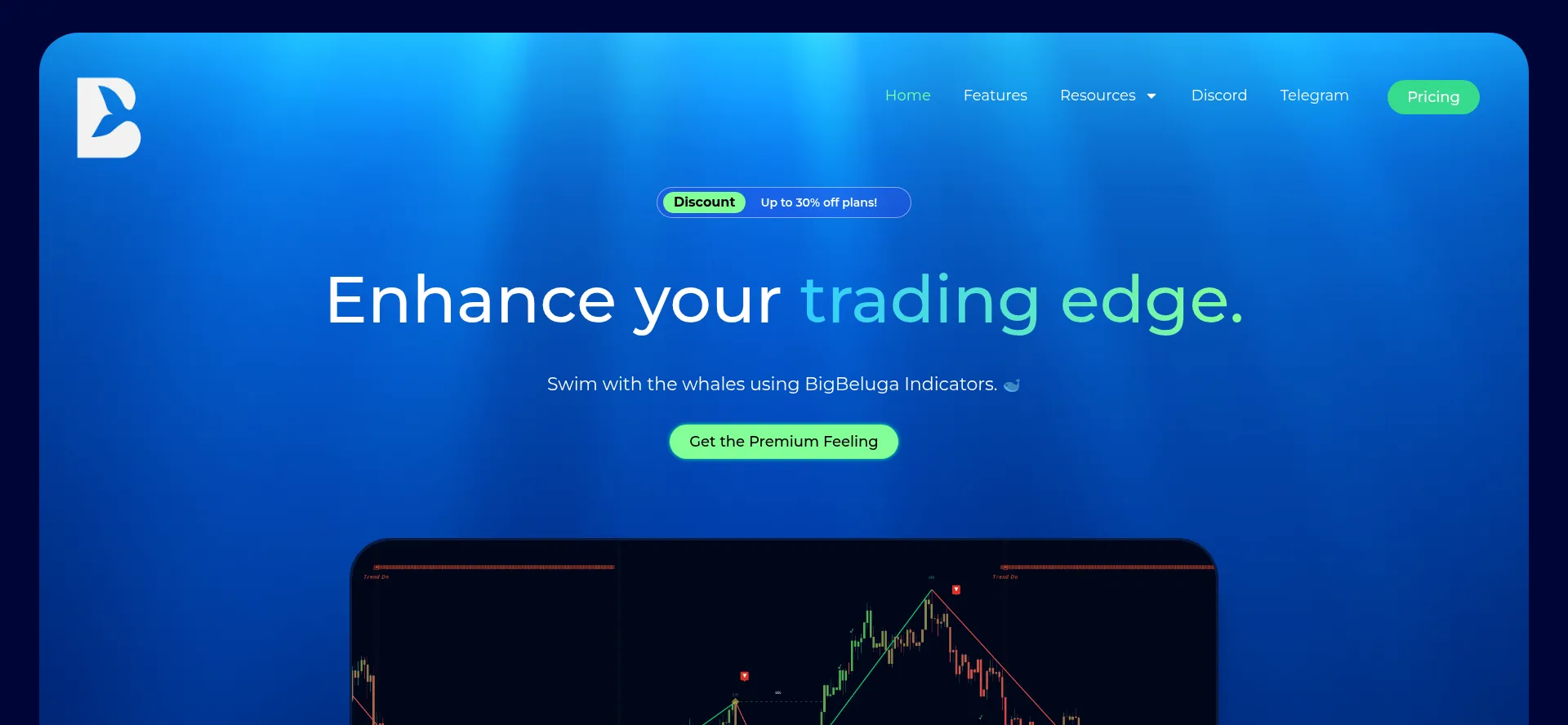 Bigbeluga.com