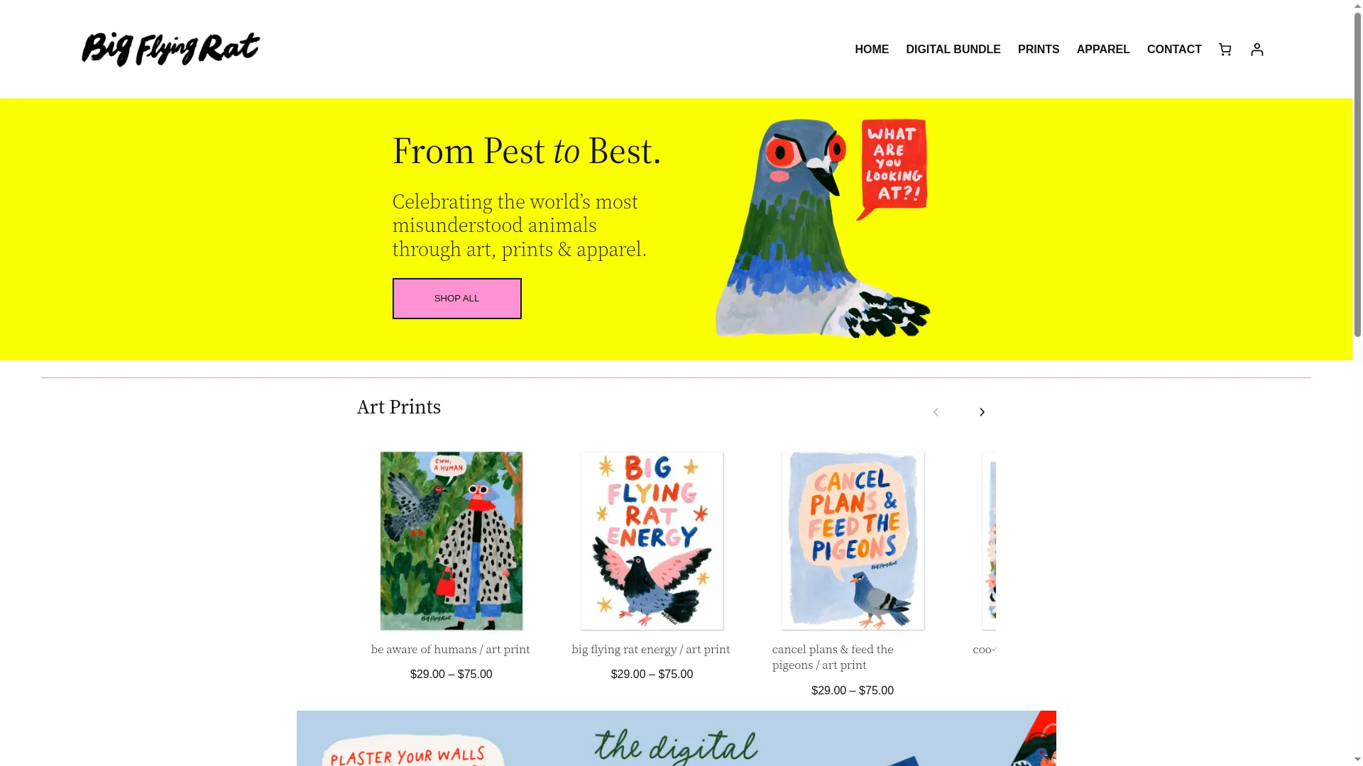 Bigflyingrat.com