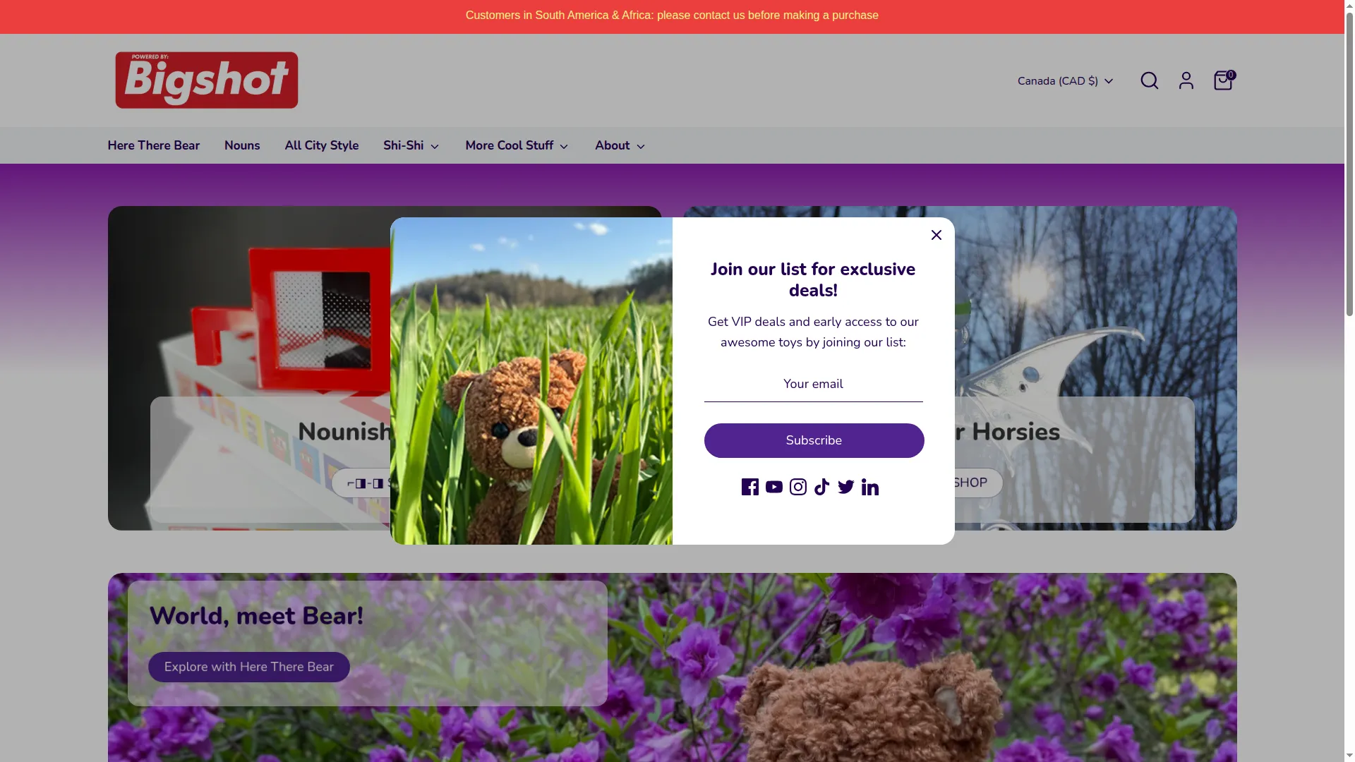 Bigshottoyshop.com