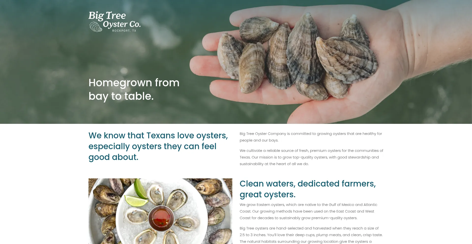 Website screenshot of Bigtreeoysters.com