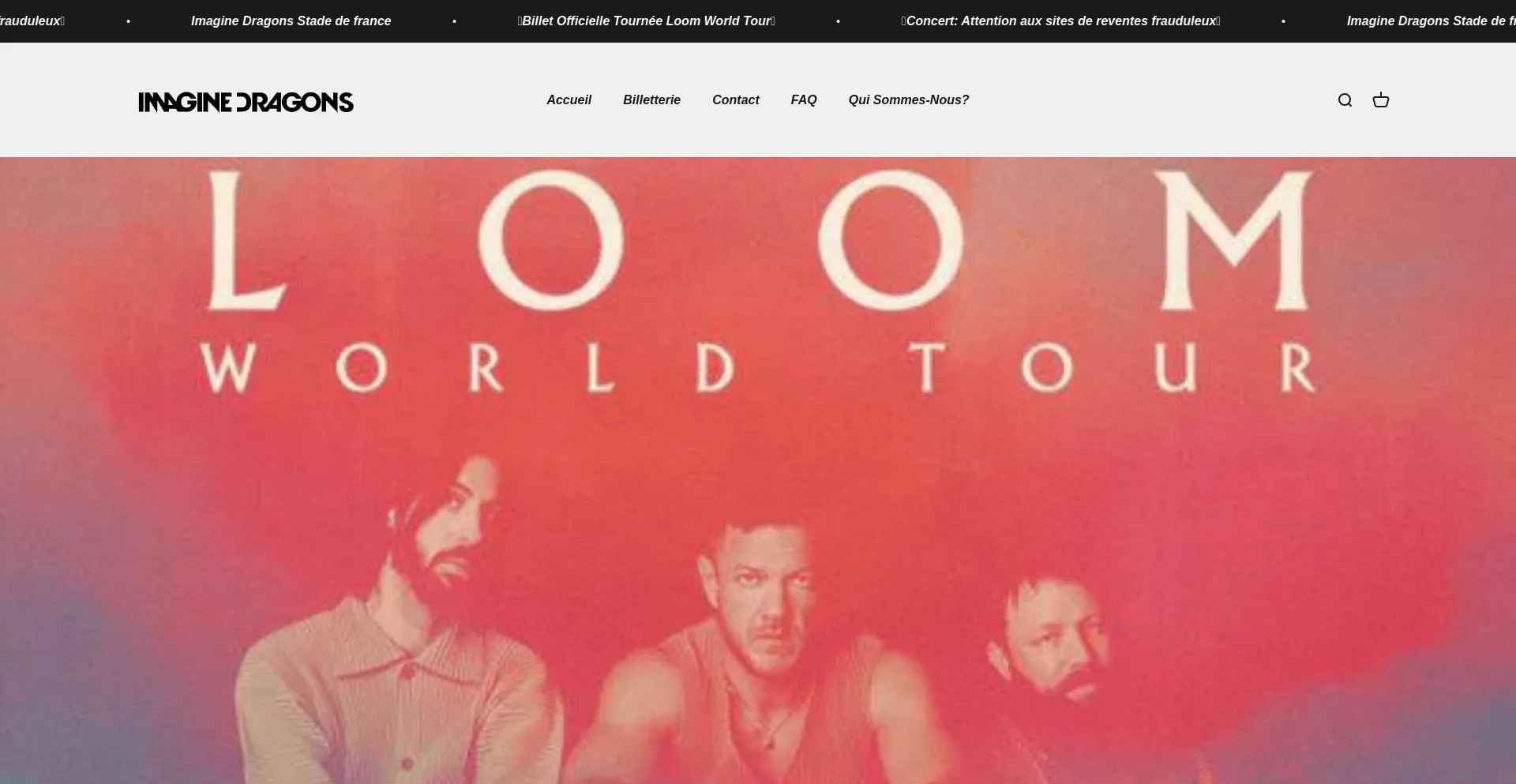 Website screenshot of Billetterie-loomworldtour.com