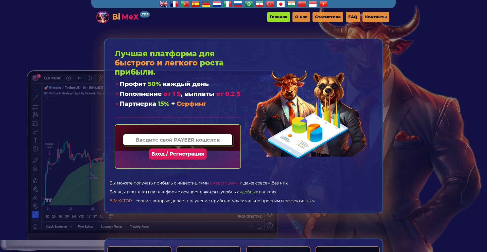 Website screenshot of Bimex.top