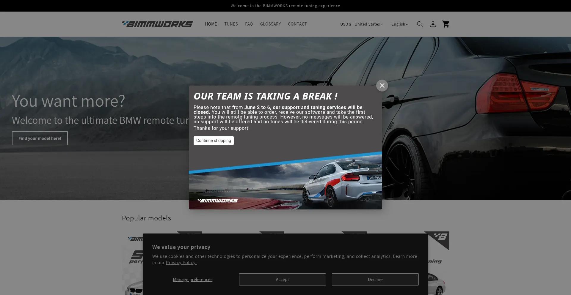 Website screenshot of Bimmworks.com