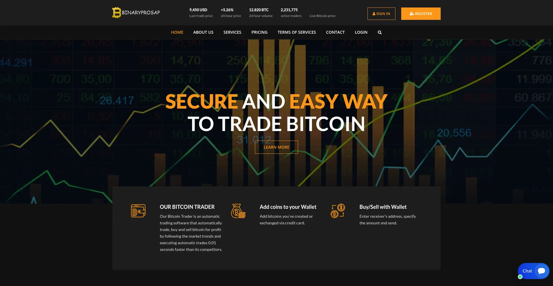 Website screenshot of Binaryprosap.com