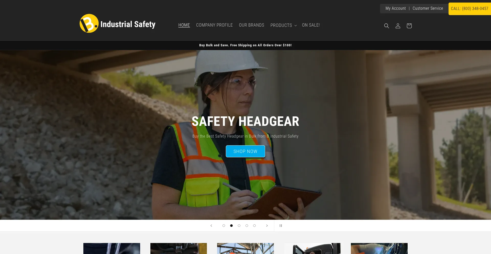 Bindustrialsafety.com